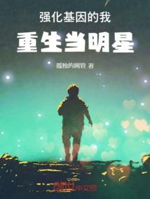 矢量计划