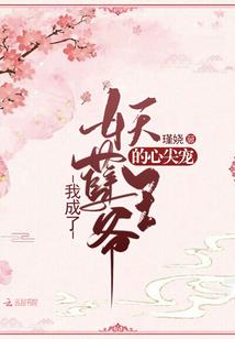 名动天启