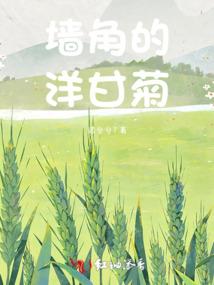 魔仙天下