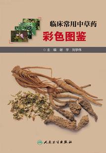 流年三千，浮世繁华