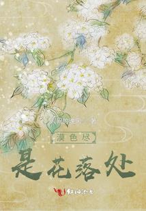 圣珠逆天路