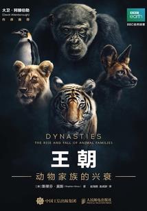 那一道痕迹变彩虹