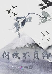 火红年代之傻柱是个好人