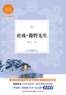 破碎物择之巴淋洛奈克