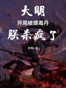 凌枫剑客