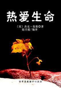 恋上冷妻坎坷