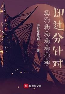 伪娘的穿越之旅