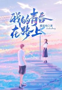 傲盾