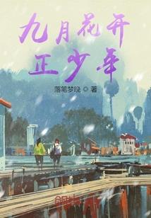第九区