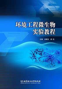 主角的背后高手