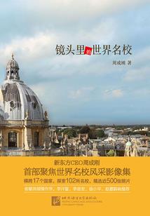 灵珠子新传