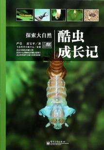 重生之魔女希言