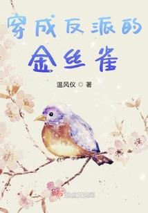 男颜祸水，面首三千