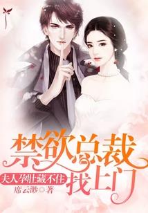 都市妖孽小巫师