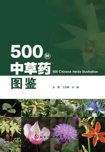 问道天宇