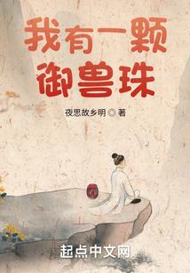 尘埃的城