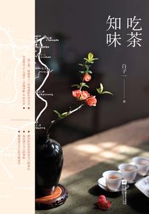 残片仙缘