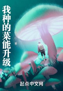 土地传