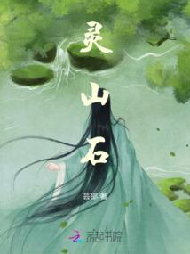 穿越之宣华夫人