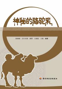 国术之帝踏星宇