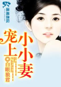 倾城之冰心殇