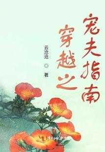 崩坏的穿越者