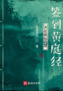 真正的云天盗