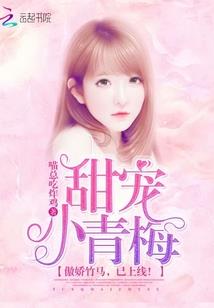 映天记