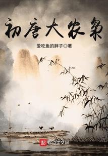 天地藏锋录