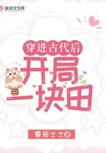 2009至2012夏殇