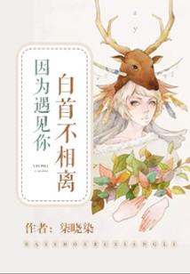 梦稀亦挽弦