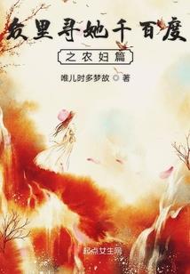 风崇